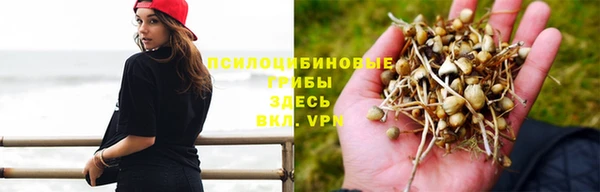 бутик Богданович