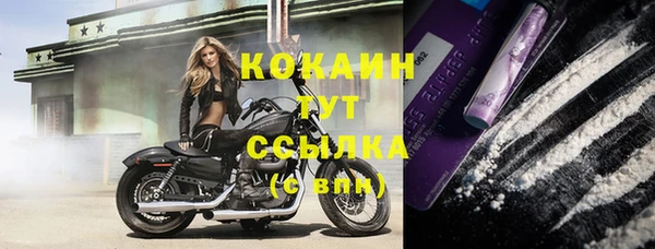 бошки Белокуриха