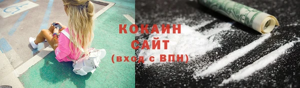 бошки Белокуриха