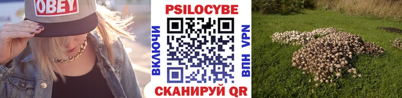 мориарти как зайти  Городище  Псилоцибиновые грибы Psilocybe  купить закладку 